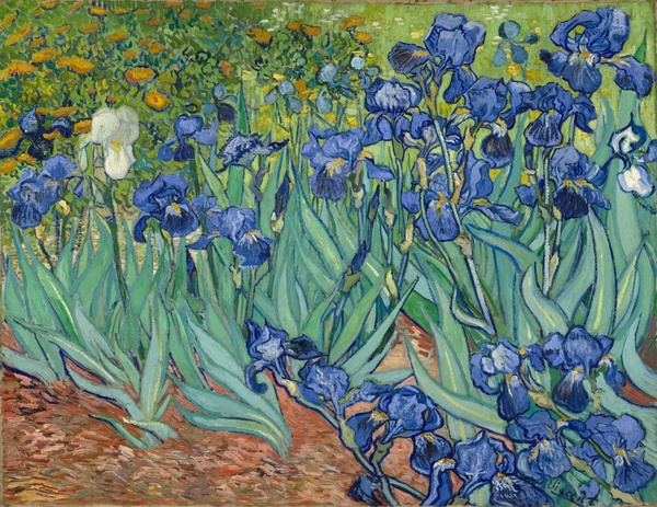 Irises - Vincent van Gogh (1889)