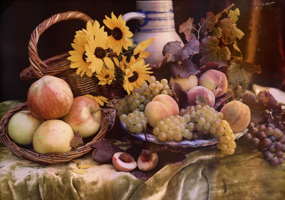Fruit and Flowers - French 19th Century (c. 1910)