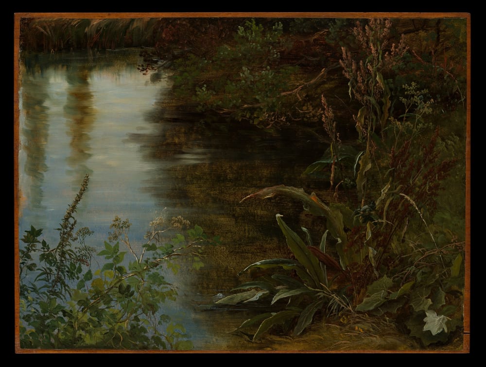 Study of Water and Plants - Thomas Fearnley (1837)