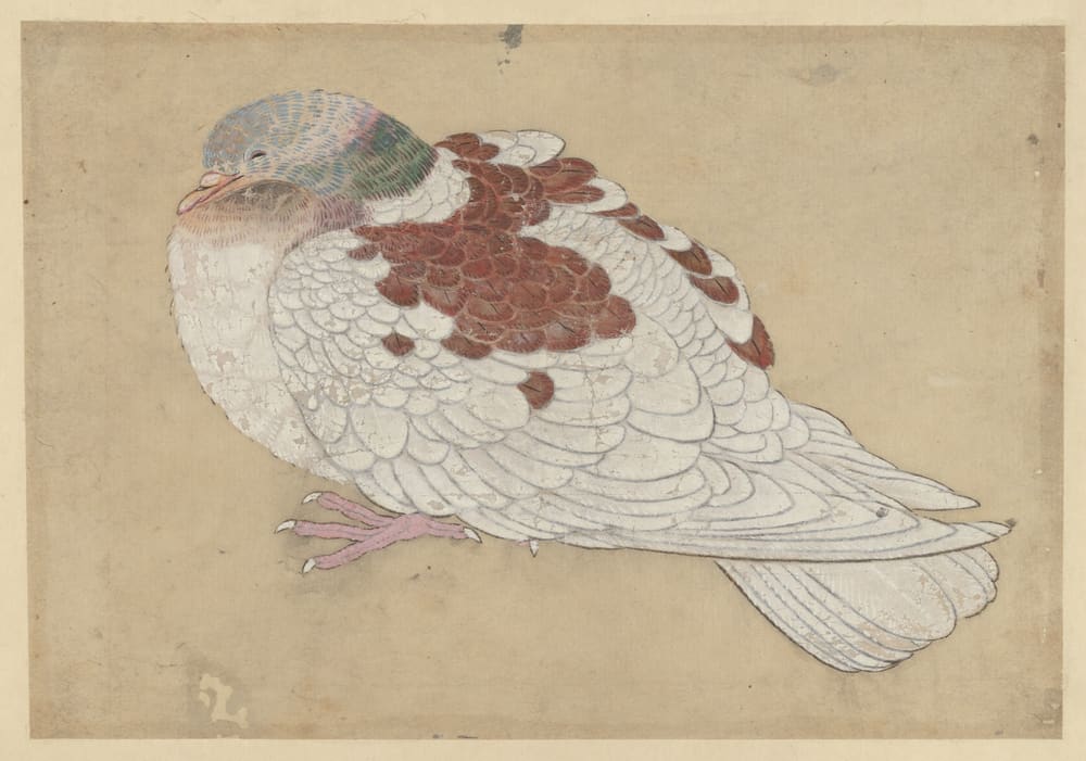 Bird - Ogawa Haritsu (Ritsuō)
