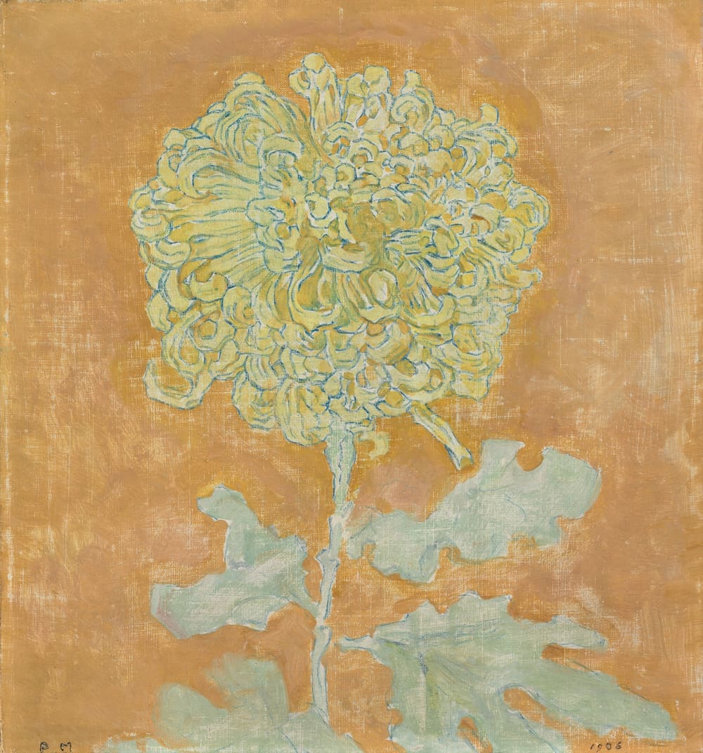 Chrysanthemum - Piet Mondrian (1906)