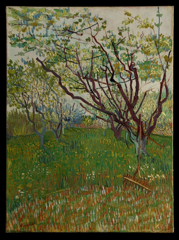 The Flowering Orchard - Vincent van Gogh (1888)
