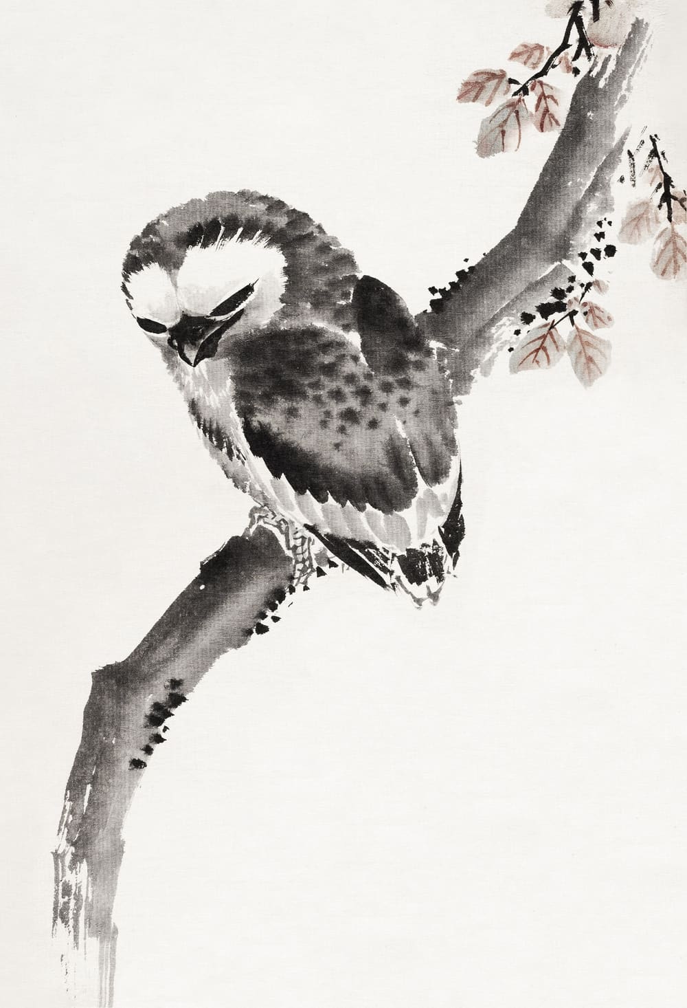 Japanese Owl, Album of Sketches - Katsushika Hokusai (1814)