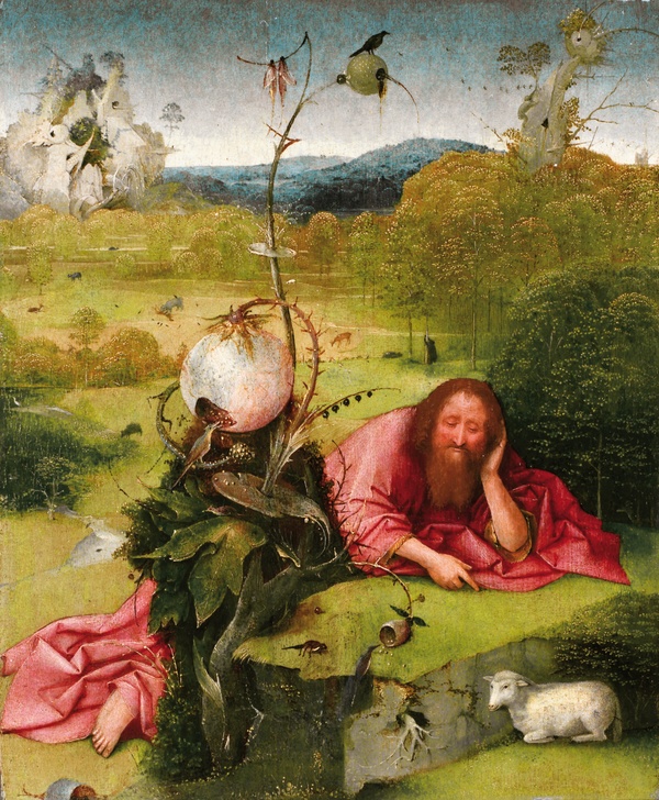 Saint John the Baptist in the Wilderness - Hieronymus Bosch (1489)