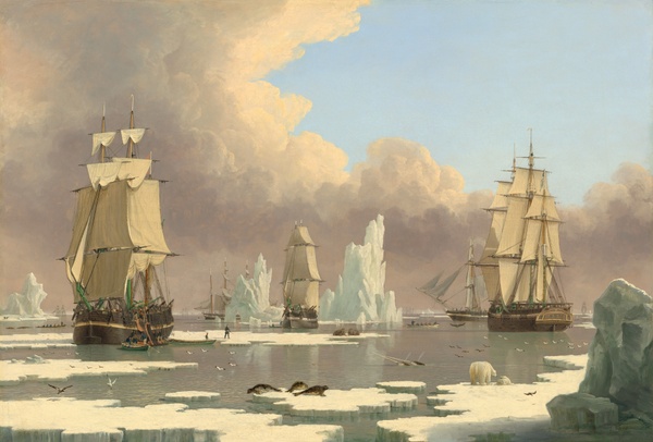 The Northern Whale Fishery: The "Swan" and "Isabella" - John Ward of Hull (c. 1840)