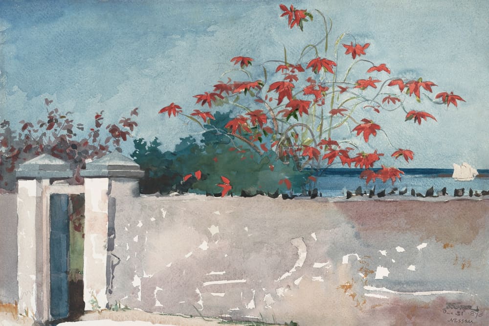 A Wall, Nassau - Winslow Homer (1898)