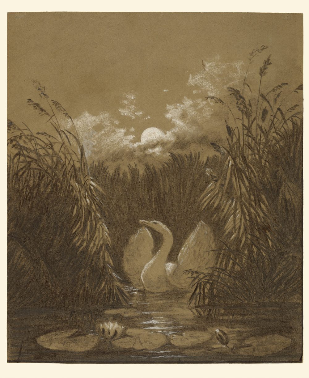 A Swan Among the Reeds, by Moonlight - Carl Gustav Carus (1852)