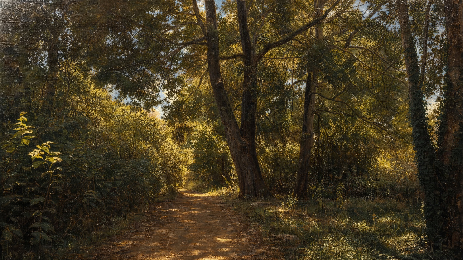 MP Forests